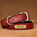 Red Collar