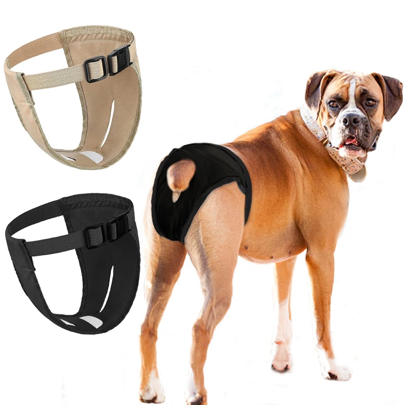 Female Dog Panties Adjustable Pet in Heat Menstrual Sanitary