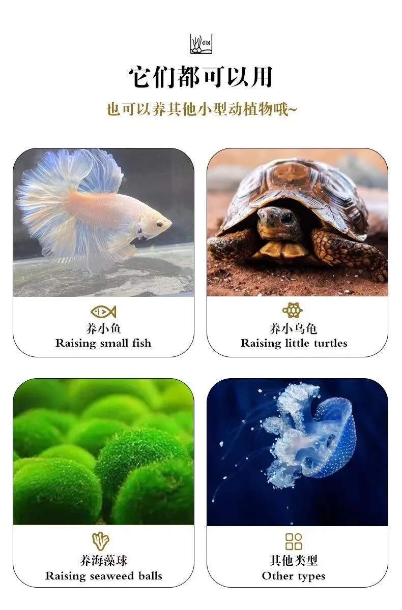 Fighting Fish Acrylic Fish Aquarium Small High Transparency fish aquarium