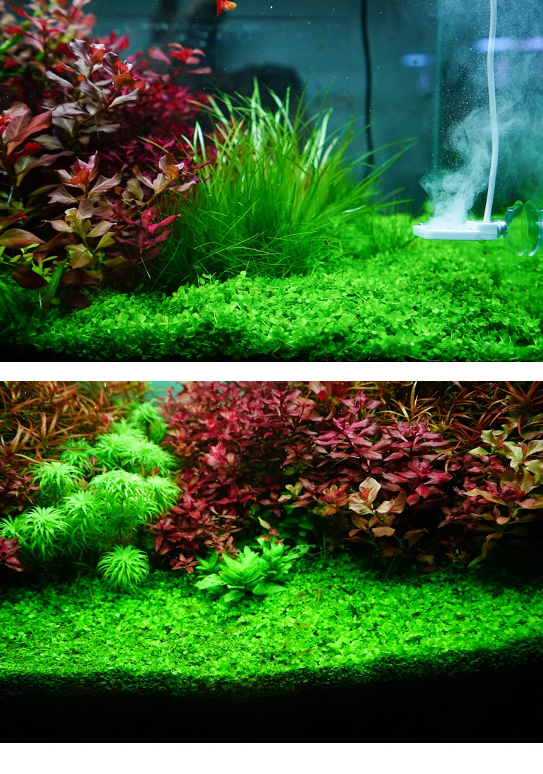 2019 Chihiros Rgb Vivid Aquarium Led Light Water Plant Grow With