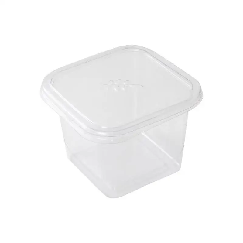 10/50 Pcs Transparent Cupcake Packaging Boxes with Lids, Disposable Dessert Containers,... - SKU TCPB2003 - UGI Packaging