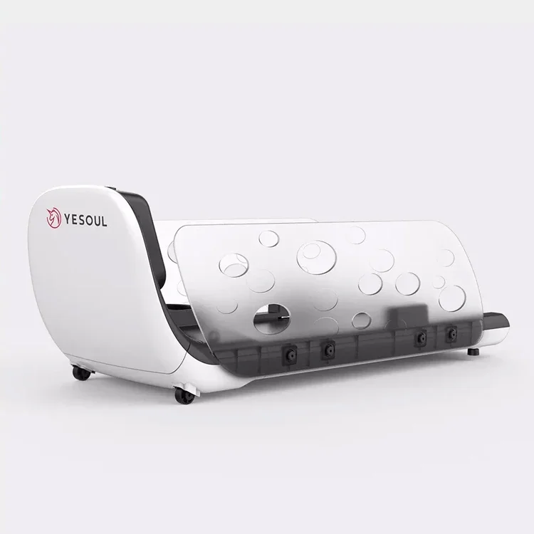 Dog treadmill