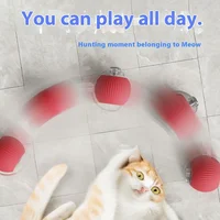 Smart Cat Toys Automatic Rolling Ball Fake Tail Rechargeable Electric Pet Interactive Toy Dog Cat Training Imitate Mouse Tail 3