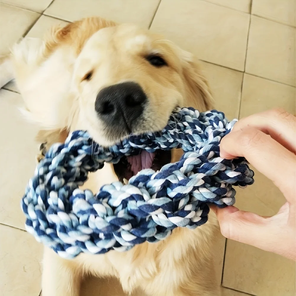 1pc Random Color Ring Woven Design Pet Chew Toy Dog Teeth Grinding Toy Dog Braided Knot Rope Chew Funny Toy 5