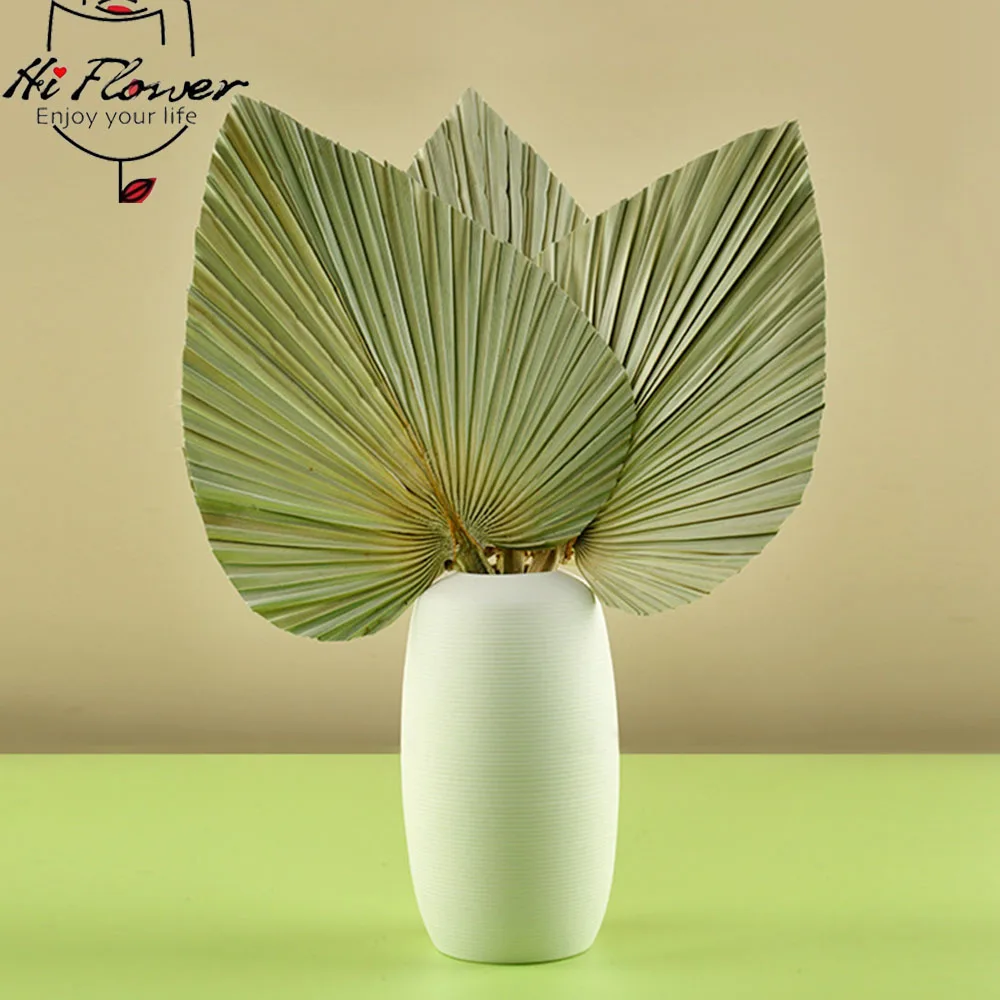 

Palm Fan Leaf Dried Decoration Natural Processed Dyed Preserved Dry Palm Leaves Palmier For Wedding Home Party Country Decor