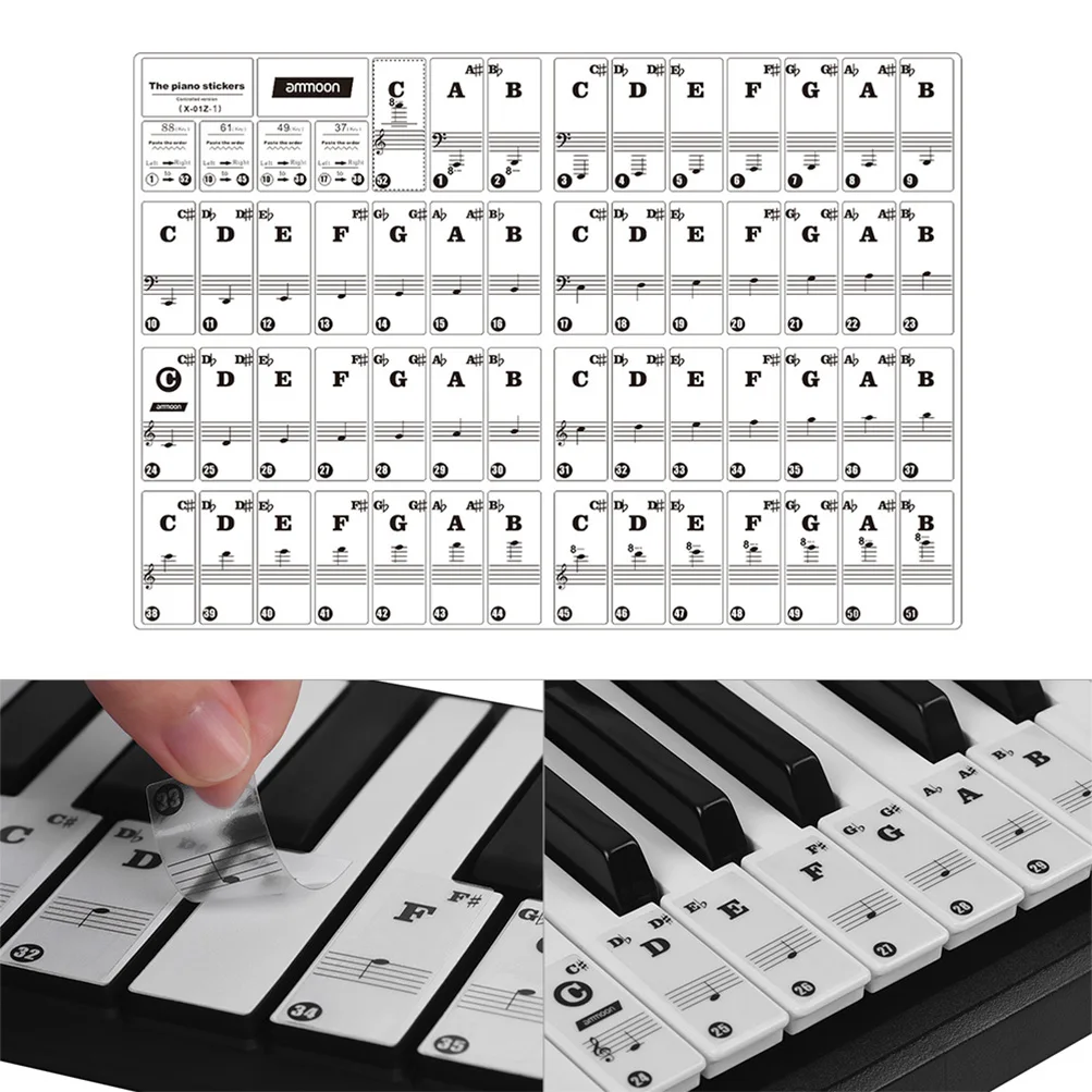 Ammoon Piano Clavier Autocollants pour 37/49/61/88 Clavier Clavier Amovible  Coloré pour Enfants Débutants Piano Pratique Apprentissage 