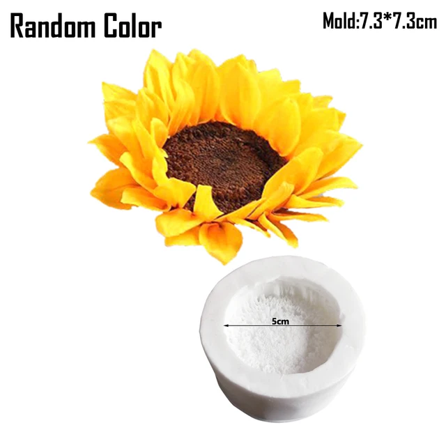 Random Color D