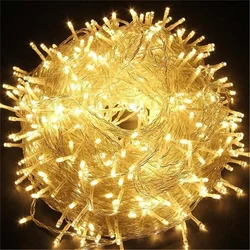 LED Christmas Fairy String Lights - Indoor/Outdoor Decorative Garland - 20M 200LED 220V EU (Warm White)