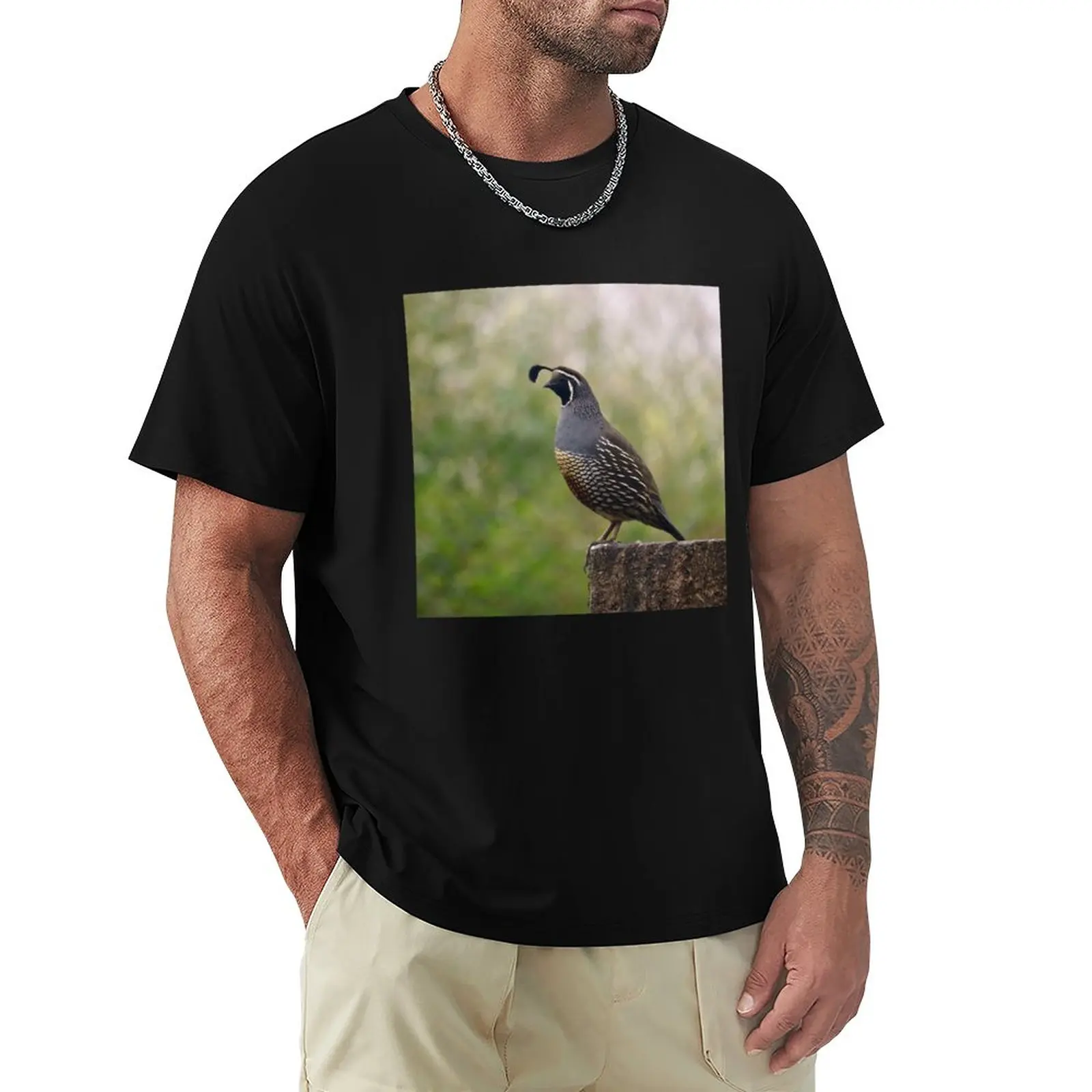 

California Valley Quail T-Shirt oversized t shirt T-shirt for a boy cat shirts Anime t-shirt mens t shirts casual stylish