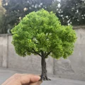 New YG 15cm