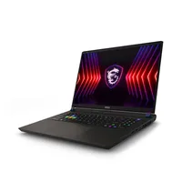 2024 Msi Vector 17 Hx Gaming Laptop 17 Inch Qhd 2 5k 240hz Ips Screen Netbook.jpg