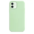 Pistachio1