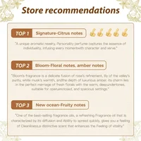 NAMSTE 2025 Frgrance Oil Aroma Diffuser Room Air Freshener Aromatic Oil Premium New Essential Oils Best Sell of Winter Edition 2