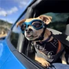 Gafas plegables para mascotas,  protector solar de verano a prueba de viento