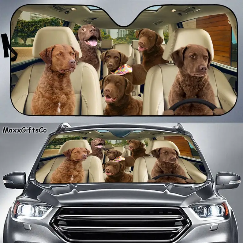 

Chesapeake Bay Retriever Car Sun Shade, Chesapeake Bay Retriever Windshield, Dogs Family Sunshade, Dogs Car Accessories, Car Dec