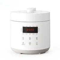 Electric Pressure Cooker Small Automatic Rice Smart High Mini For 2 People Compact Kitchen Appliance 1000W Easy Cooking 1