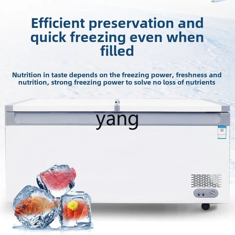 LMM Commercial Capacity Horizontal Household Refrigerator Refrigerated Freezer Single and Double Temperature Freezer