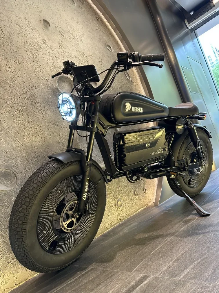 ZPW Black Warrior 1500W Motorbikes 48V 60AH Ebike Adult Road