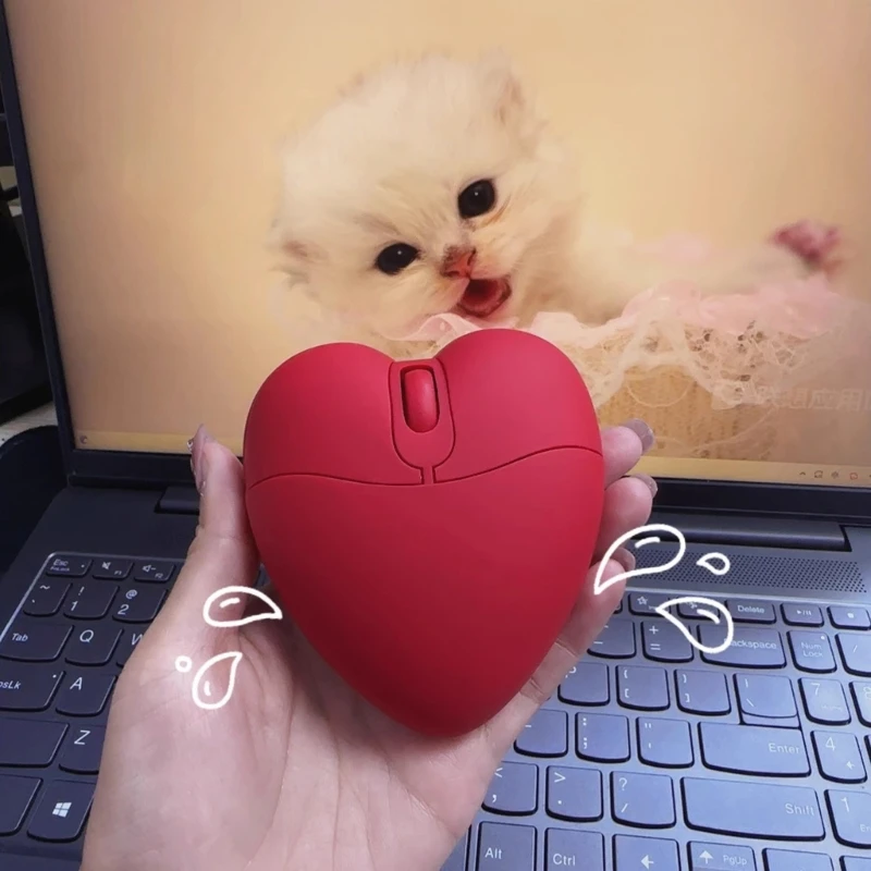 Due Graffette Rosa a Forma Di Cuore E Un Cavo Intrecciato, Memorie