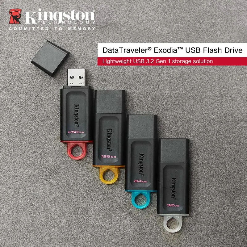 Clé USB Kingston DTX/64GB-2P Vert - DIAYTAR SÉNÉGAL