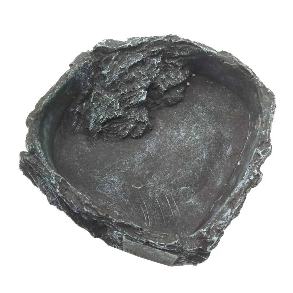 Reptile Amphibians Food Water Dish Pet Turtle Tortoise Scorpion Reptile Amphibians Food Water Dish Pet Turtle Tortoise Scorpion