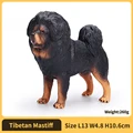Tibetan Mastiff