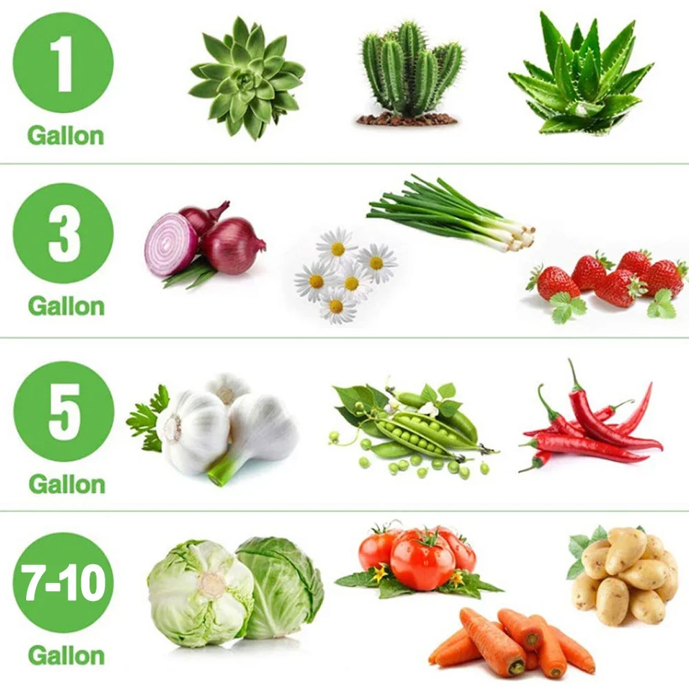 plant grow bags 1/3Pcs Vegetable/Flower/Plant Grow Bags 3/4/5/7/10 Gallon Thickened Non-Woven Grow Bags Aeration Fabric Pots with Handles