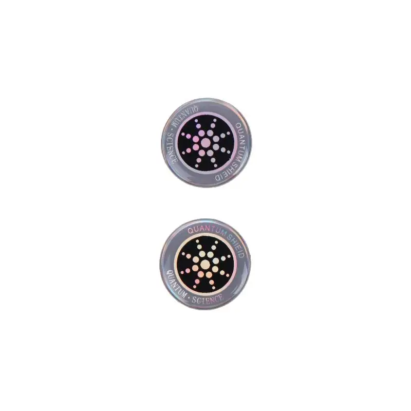2pcs Silver