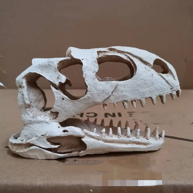 

Аквариум с головой динозавра, украшение черепа, поделки из смолы, реквизит для Хэллоуина, популярный научный инструмент, украшение для водных питомцев, поставка