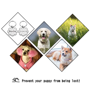 Anti Lost Flower Pet Name Tags Personalized Dog Id Tagplates Free Engraving Dogs Cats Kitten Id.jpg