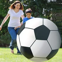 Outdoor games fun sport toy school kindergarten Gaint inflatable ball water toy thickened inflatable PVC beach ball 2