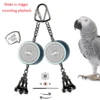 Parrot Toys to Teaching Training Bird Talking Coach Interactive Recording Playback Retell Electronic Voice Chewing Tearing  Bell 3