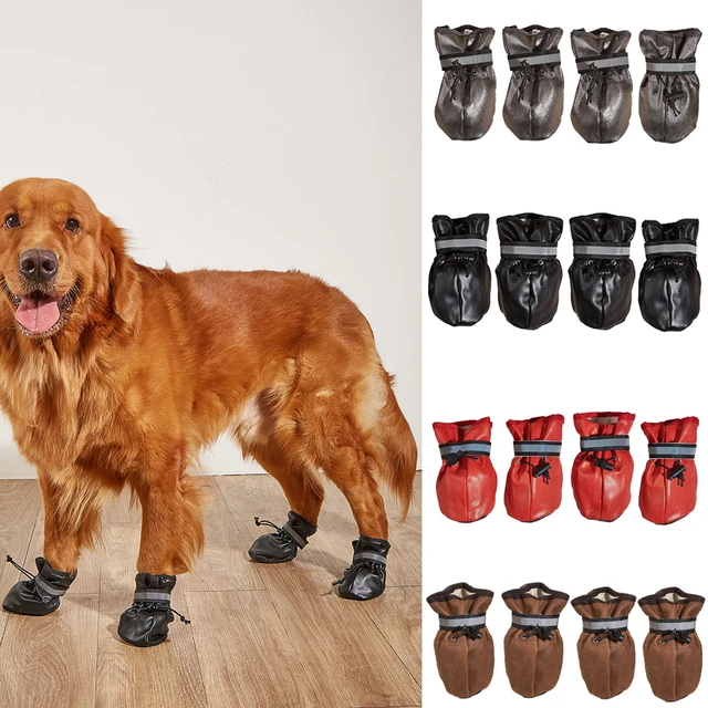 Share more than 270 labrador shoes latest