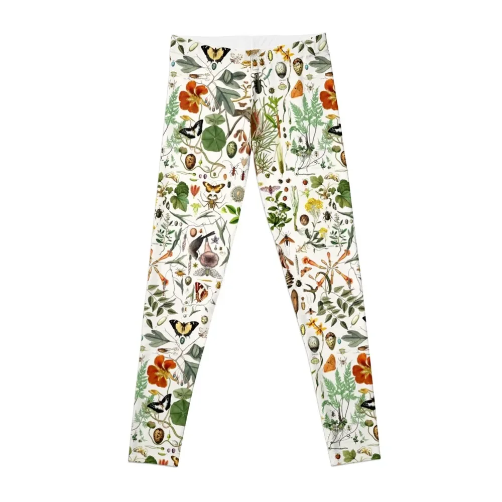 Biology 101 Leggings jogging pants gym's sportswear Womens Leggings