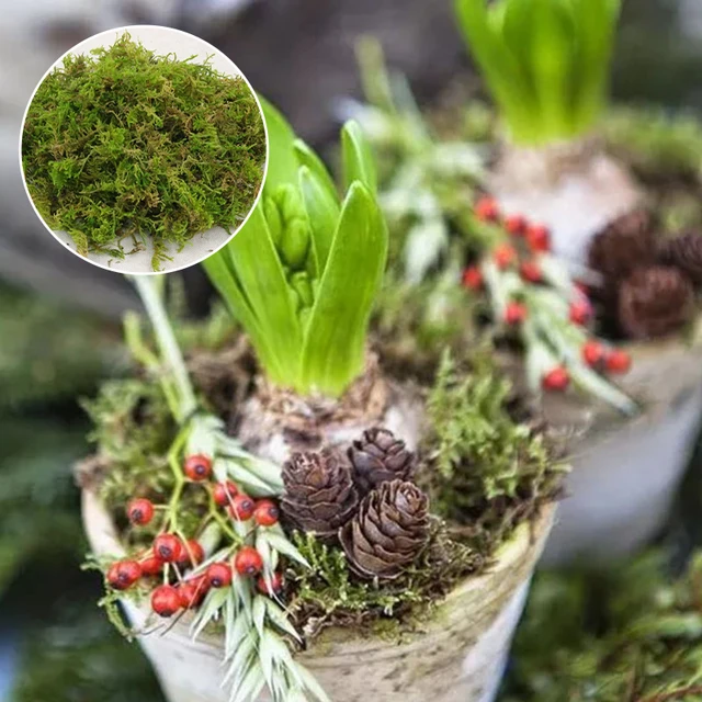 Hamis Moha Szimulációs Fű Cserepes Növényekhez Mesterséges Gyep Bonsai Táj Dekoráció Aquascape Kiegészítők Növényi Zuzmó - Image 4