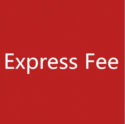Express Fee - AliExpress 1503