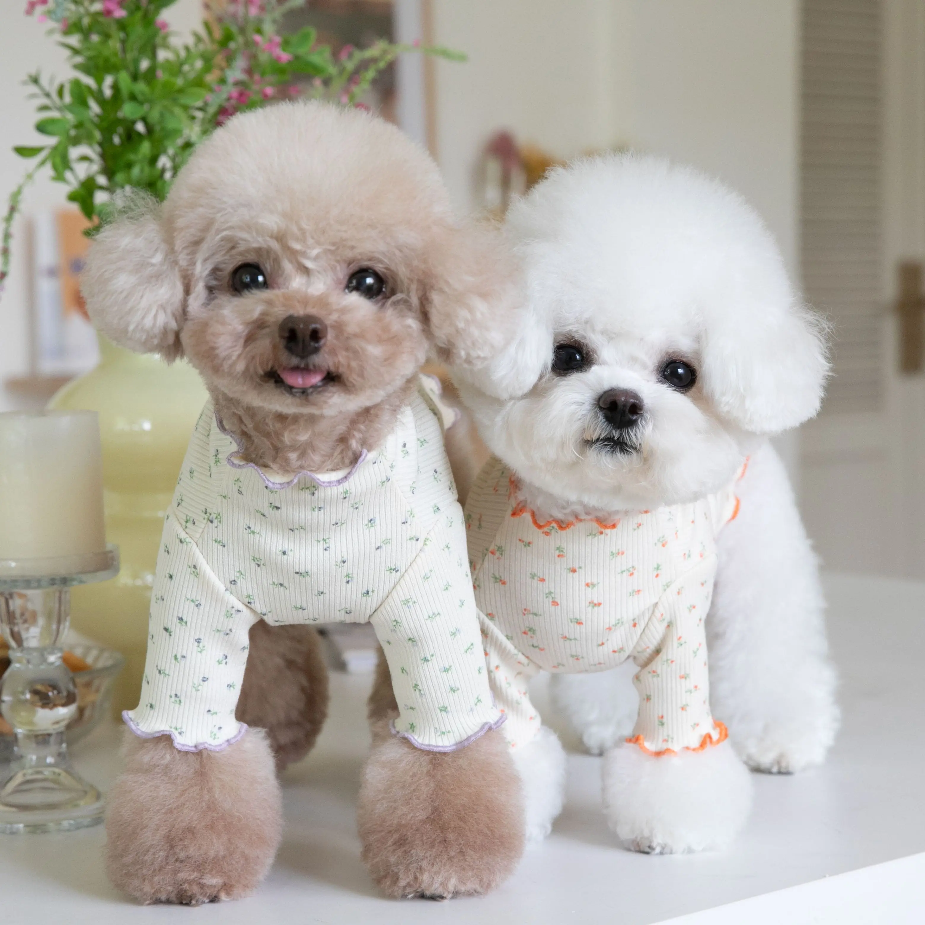 

Cute Bottoming Shirt with Curled Edge, Pet Clothing, Floral Print Undershirt, Lovely Dog Clothes, Cat Clothes