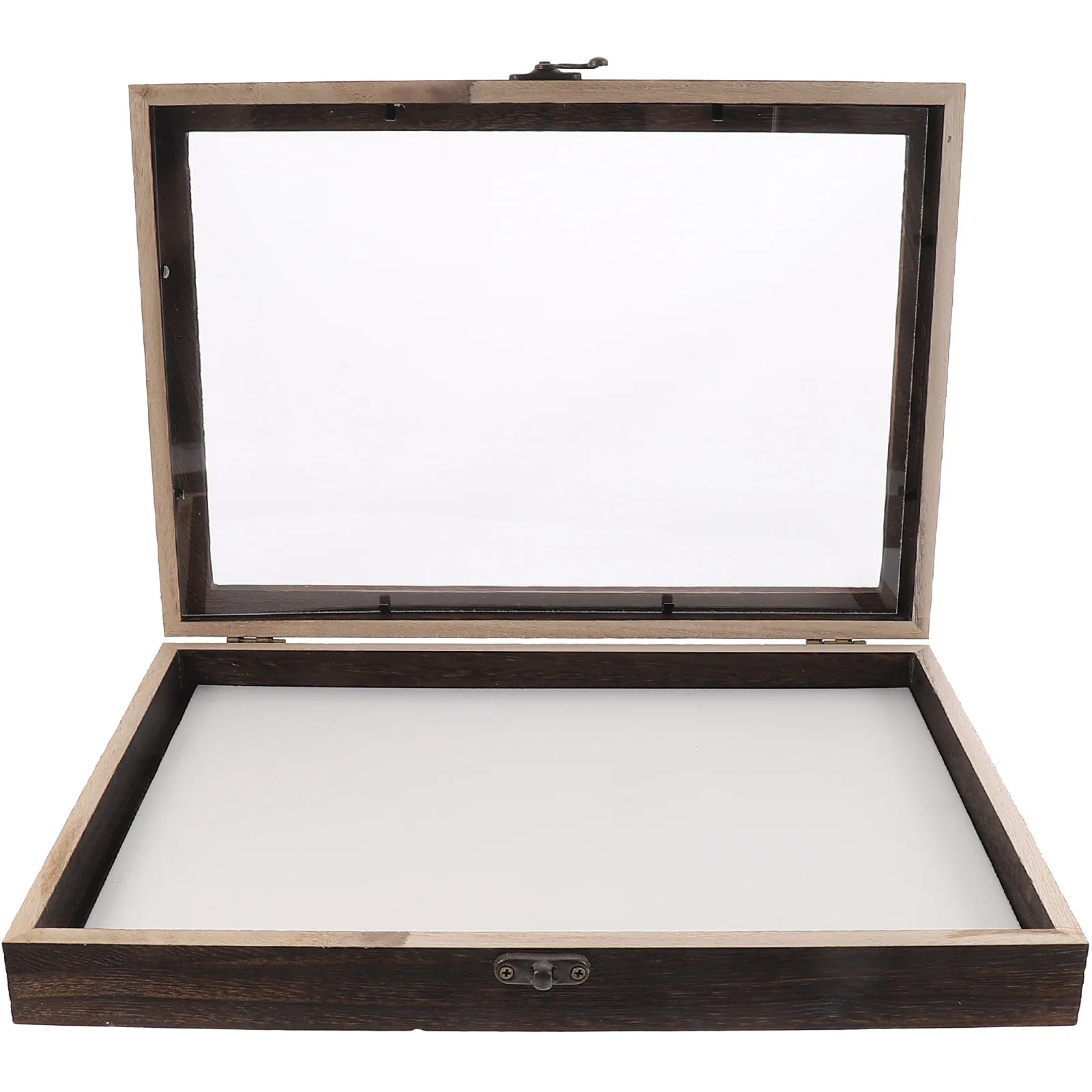 

Sets Display Case Clear Glass Top for Collecting Butterflies and Bugs in Museums