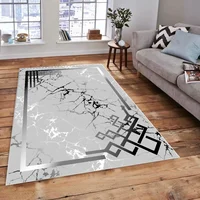 Nordic Modern Style Living Room Decoration Carpets Luxury Silver Gray Home Rugs for Bedroom Elastic Washroom Floor Mats Washable 2