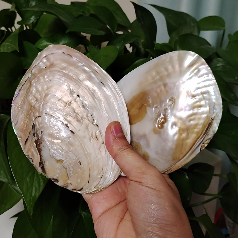 Anello D'oro Con Diamante Da 0,46 Carati E Perla Dei Mari Del Sud Tra Le Dita - Foto 9