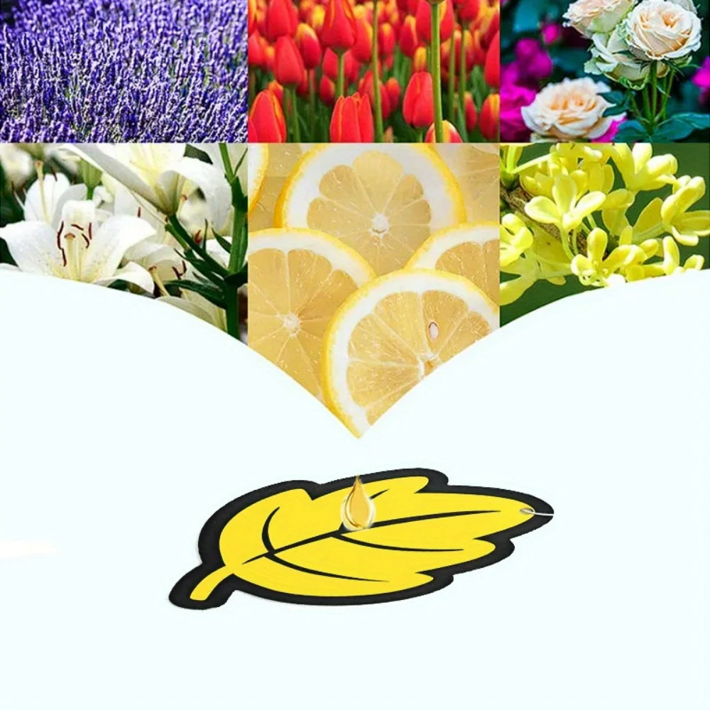 5-40Pcs �ڵ��� ���� û���� õ�� ���ο� �� ���� �ڵ� �Ŵ޷� �ٴҶ� ��� ��� �� ��� �ڵ��� �׼����� ���׸���