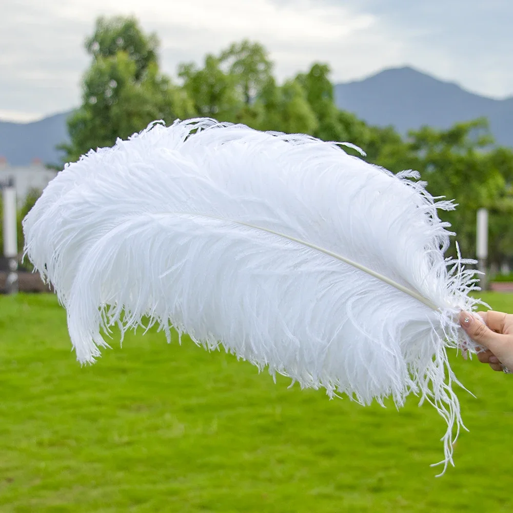 Ostrich Feathers 10Pcs/Lot Natural White Ostrich Feathers for Crafts 15-45CM Wedding Party Decoration Table Centerpieces Carnival Plumas Deco ostrich feathers