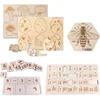 Montessori Wooden Life Cycle Puzzles Toy Bee Insect Structure Learning Plant Growth Cycle Science Teaching Aids Math Sorting Toy 1