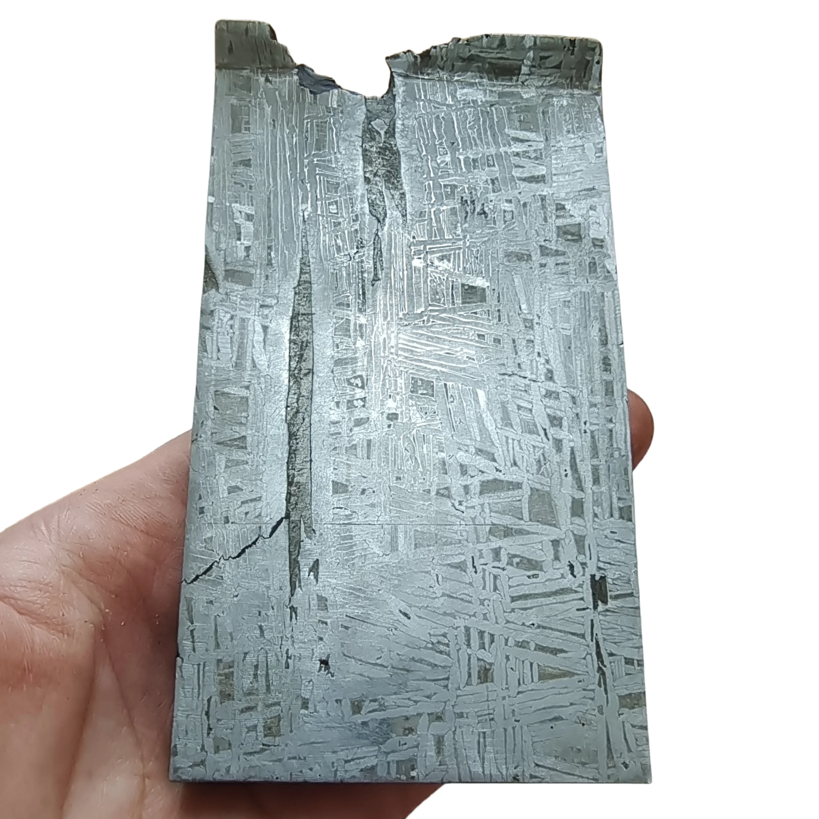 900g Muonionalusta อุกกาบาต Slice เหล็กธรรมชาติอุกกาบาตวัสดุตัวอย่าง Meteorite Slice Collection-TC610 1