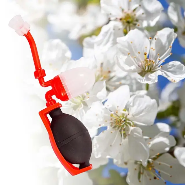 1Pc Paradicsom Beporzó Gép Csatlakoztatása Tartós Professzionális Kerti Ellátó Permetező Szerszám Növényi Virág Körte Őszibarackhoz - Image 4