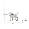 Dalmatians 3