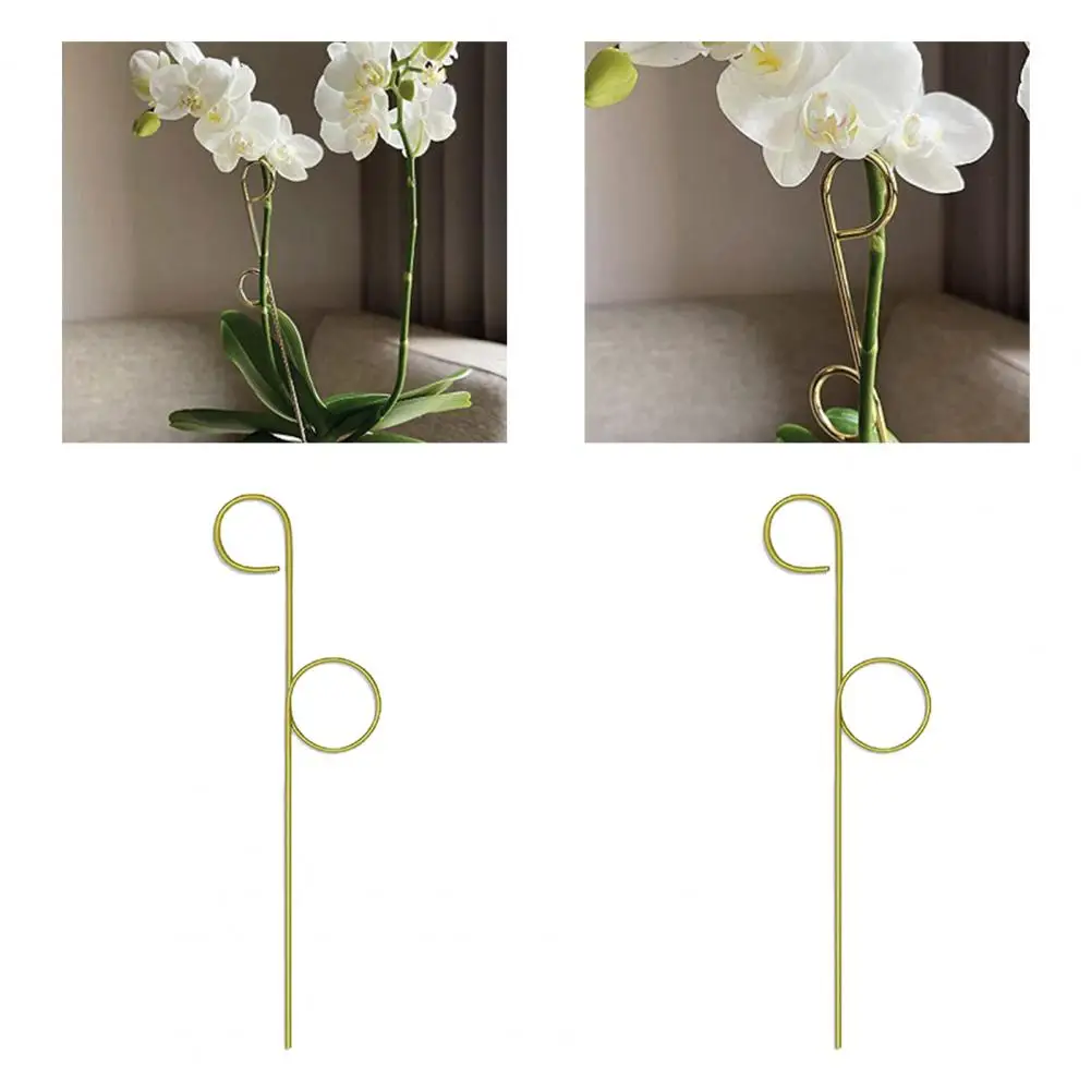

4Pcs Plant Support Holder Strong Supporting Wide Application Easy to Use Green Plants Climbing Vine Flower Plant Trellis