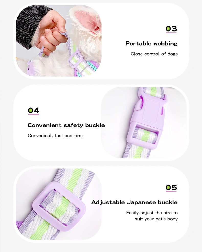 Color Block Harness For Small Dogs Breathable Mesh Pet Walking Lead_voghion.com