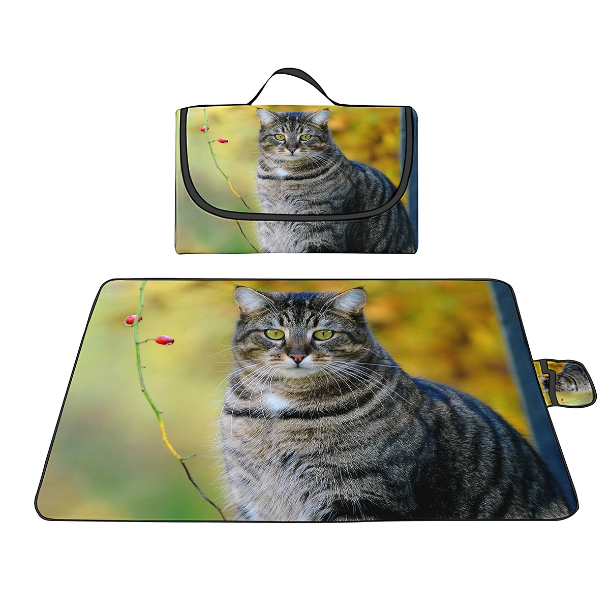 ������ ����Ʈ �޴�� ���� �߿� ��ũ�� ���, ���̽� �������� ��ũ�� ��Ʈ, �غ� ��Ƽ ���� ķ�� �ܵ� ���� ����