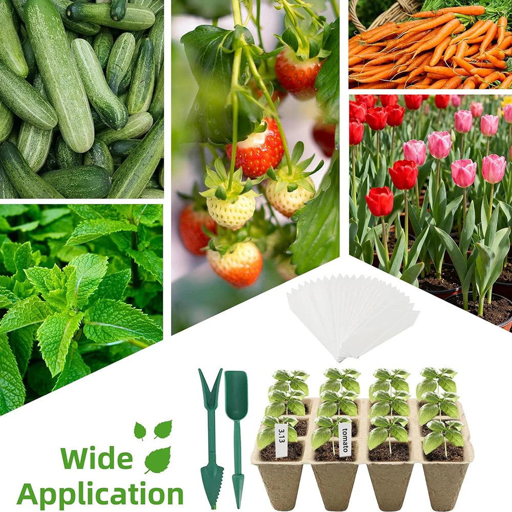 Biodegradable 300-Cell Seed Starter Kit with Domed Germination Trays